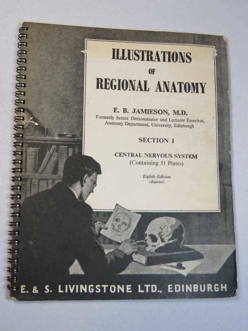Unieke Antieke Illustrations Of Regional Anatomy By E B Jamieson 
